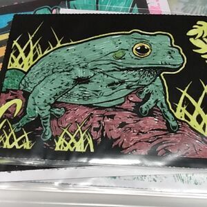 Small color of a frog